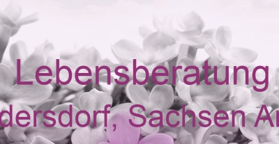 Lebensberatung Sandersdorf, Sachsen Anhalt | Top-Experten für Kartenlegen, Wahrsagen, Hellsehen, Zukunftsdeutung. Lebensberatung Sandersdorf, Sachsen Anhalt | Top-Experten für Kartenlegen, Wahrsagen, Hellsehen, Zukunftsdeutung.